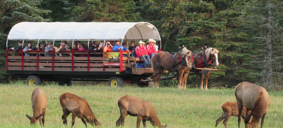 Wagon rides at the Elk Country Visitors Center in Benezette, PA