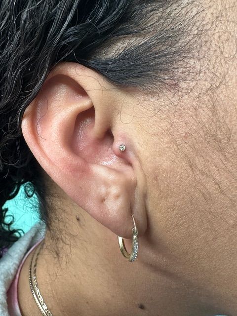 Image013