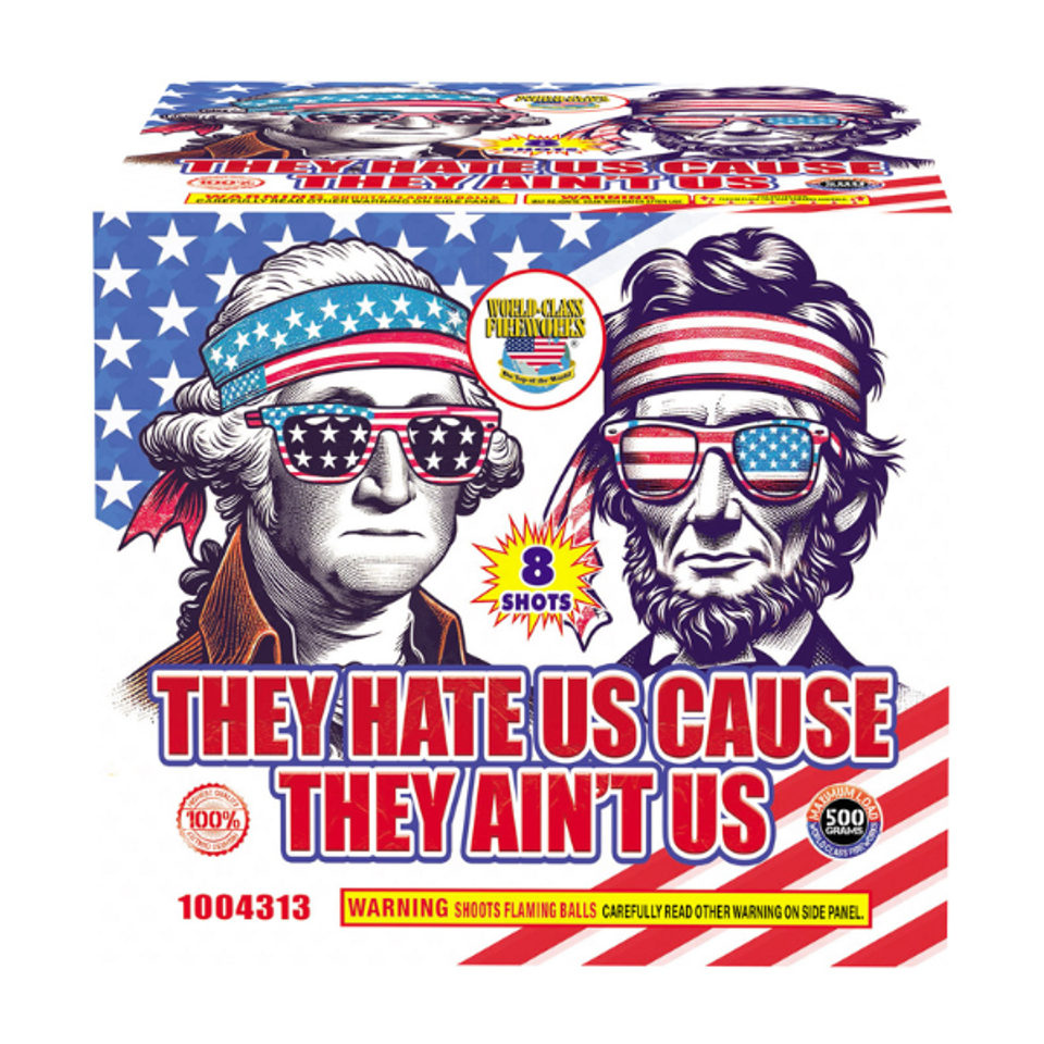 They hate us cv
