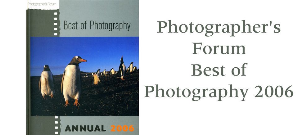 Best of photography copy20121210 21833 1d88dgt 0