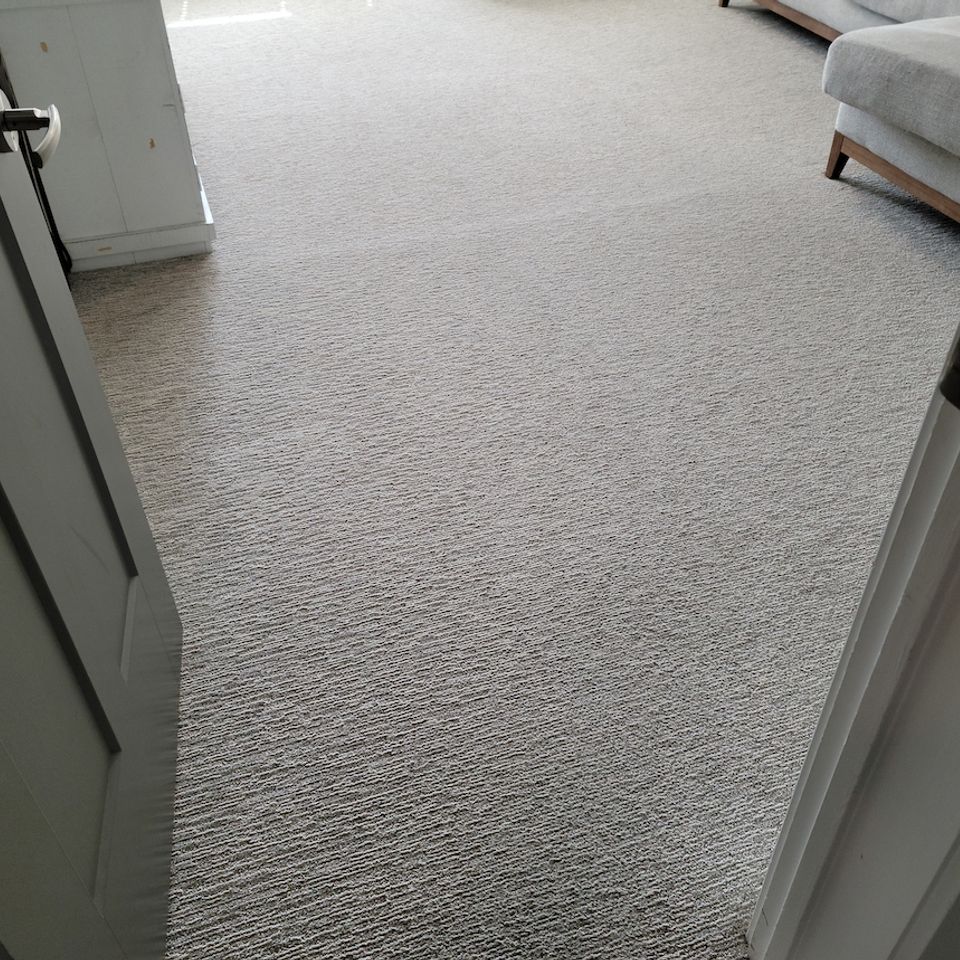Residential & Commercial Carpet Cleaning Pricing in Meridian, ID