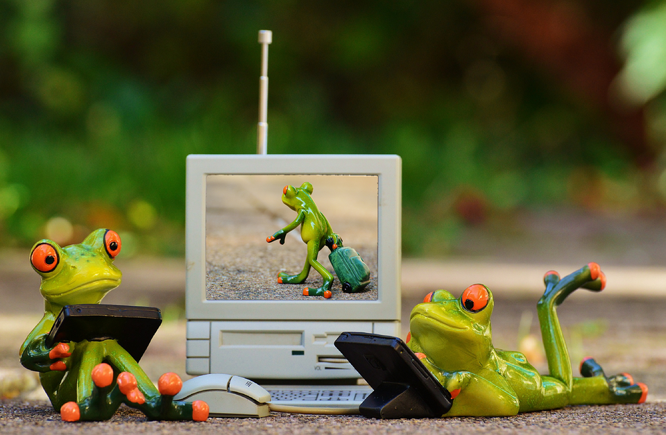 Frogs 1037601 1280