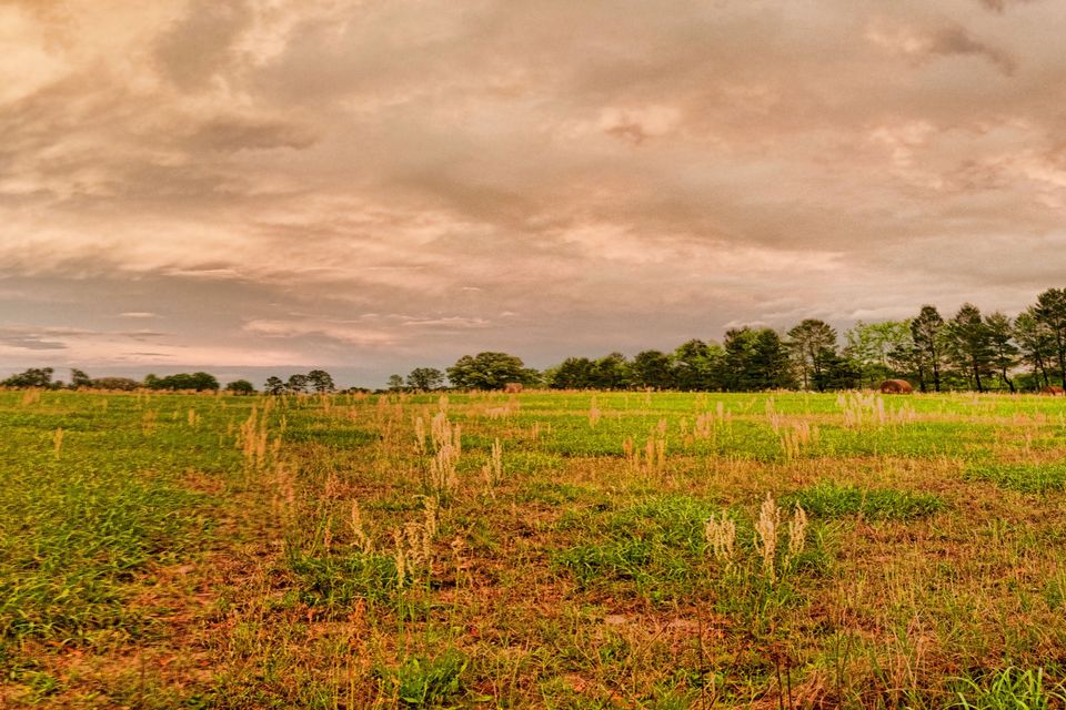 Hayfieldl panorama1
