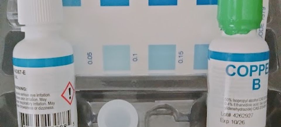 C 10 1
