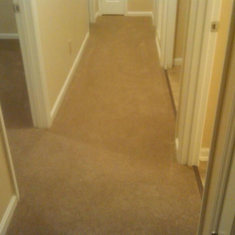 Carlton  carpet install.11132158 std preview20180402 14700 3posv0