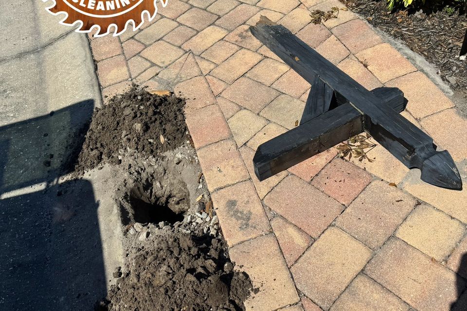 497448883 1255150299945725 1093464623430581227 n