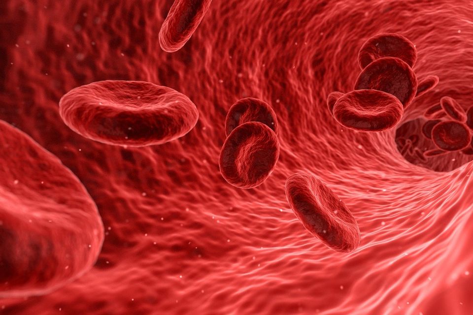 Cells g31227a3c5 1920