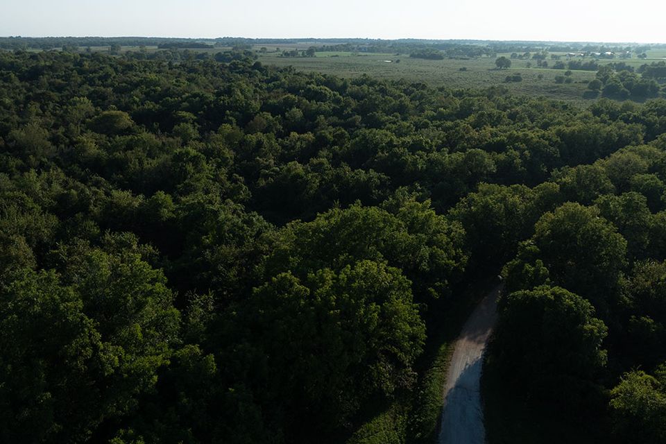 38 acres wentworth missouri 16