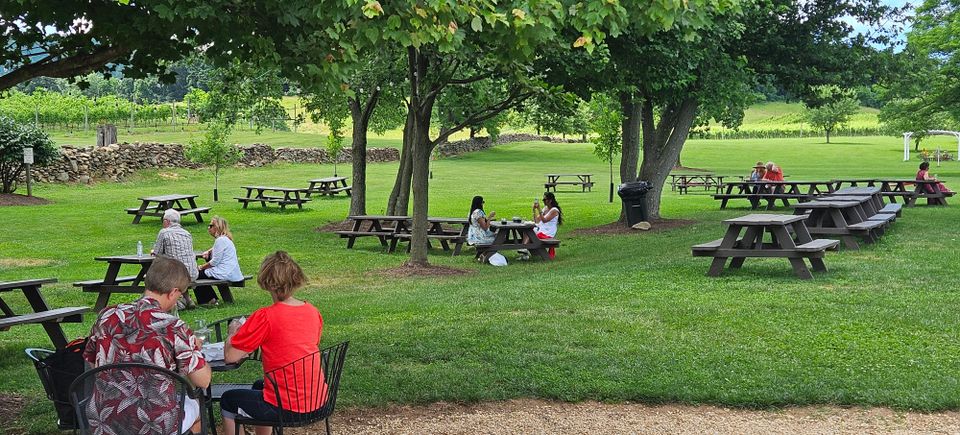 Several people seated in various spots throughout the vineyard, enjoying the greenery