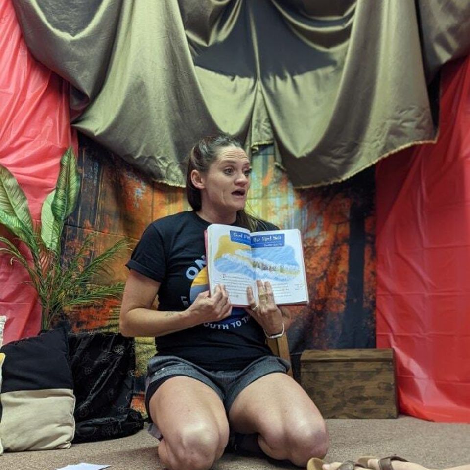 Vbs3