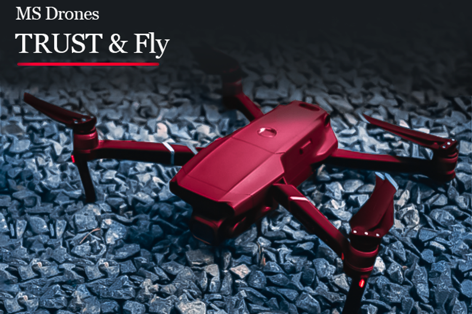 Trust and fly image
