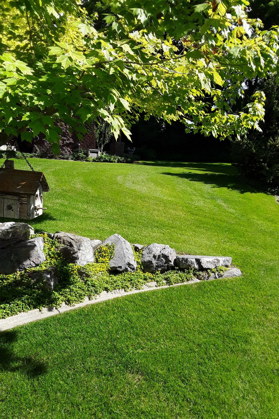Lawn Care Experts Give Lawn Treatment, Fall & Spring Yard Clean-Up in Murray Utah