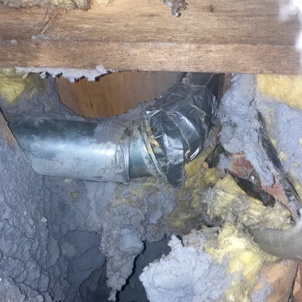 Screen shot 2026 02 27 at 12.11.33 pm