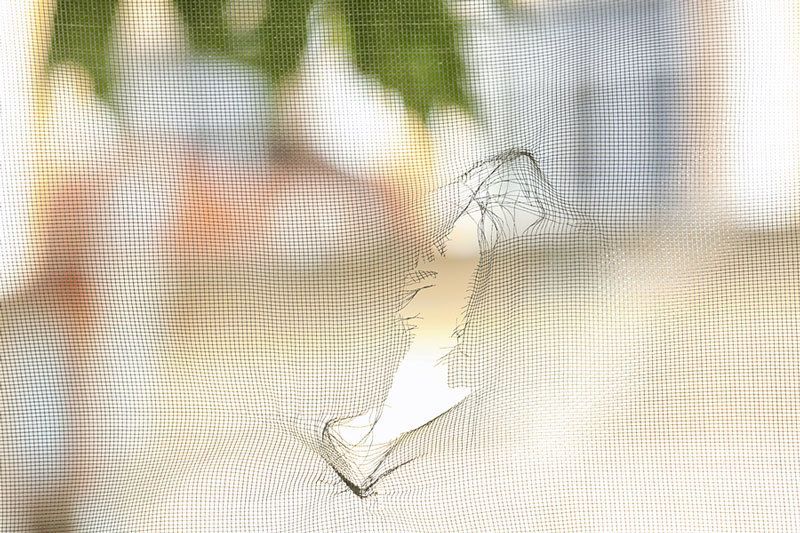 Torn window screen