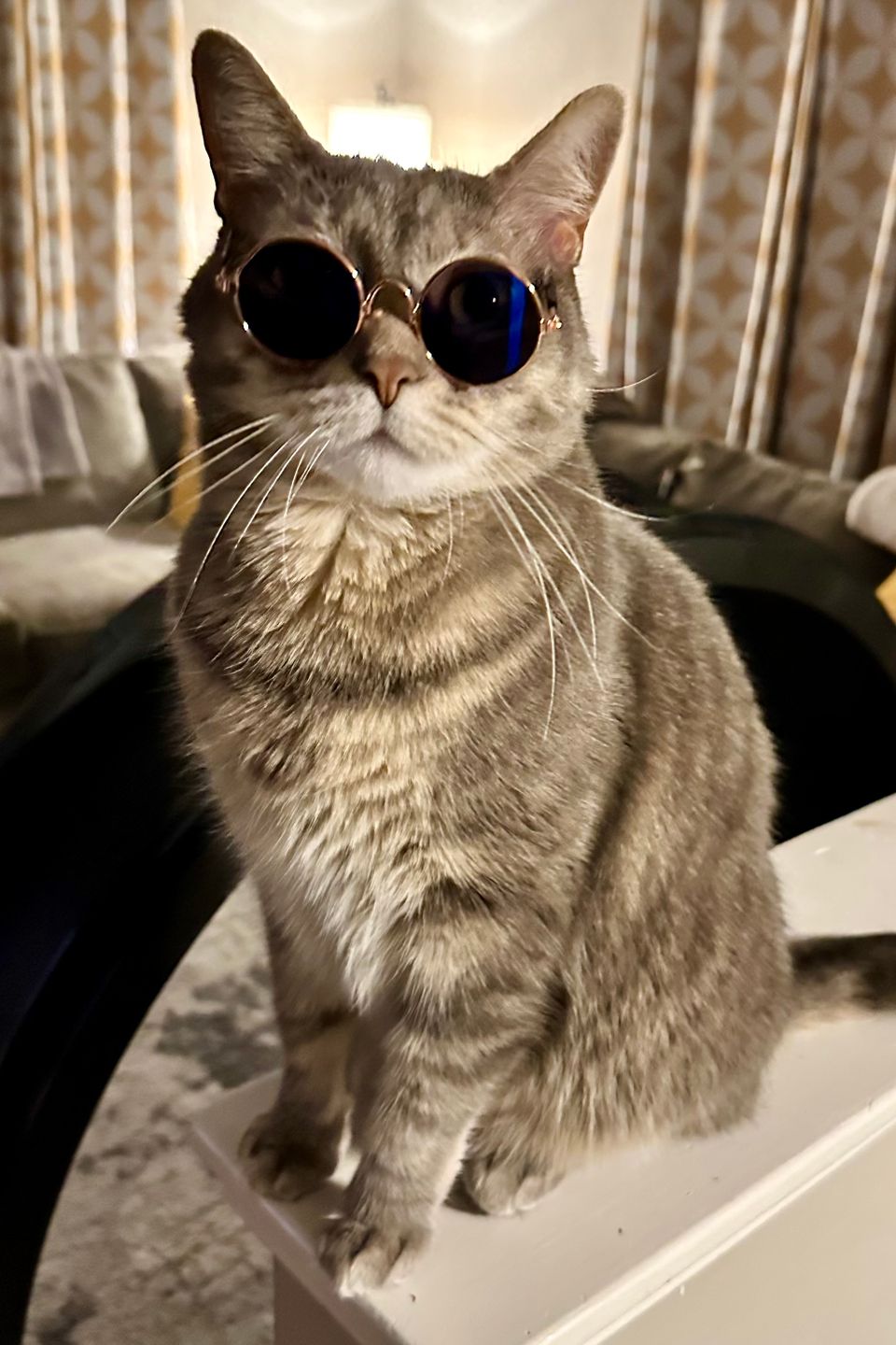 Rascal