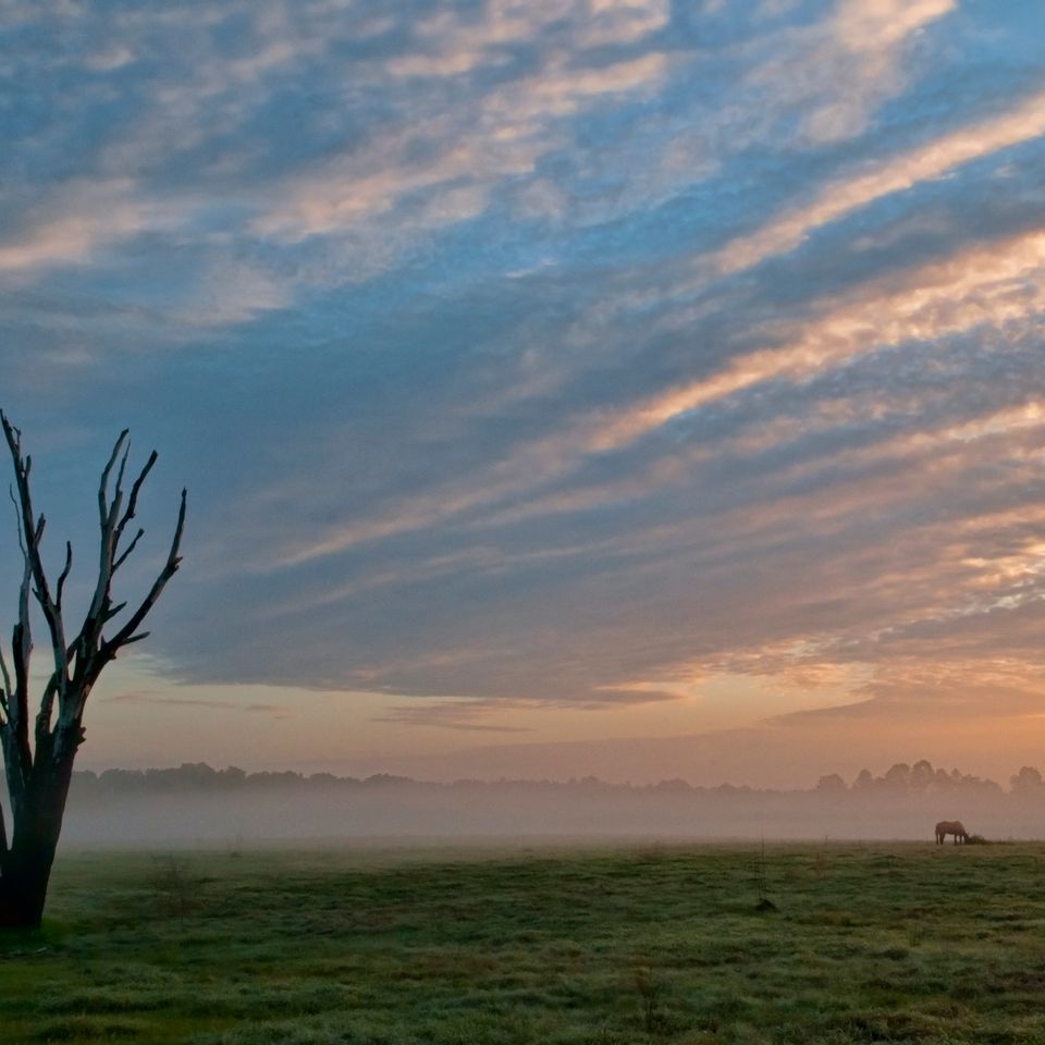 Rc horse dawn light2 