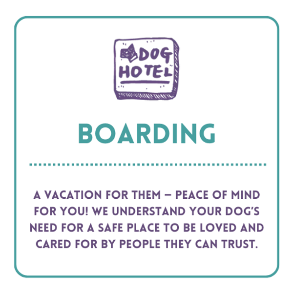 Doodle Dog Daycare Nampa Dog Boarding & Daycare Meridian Id