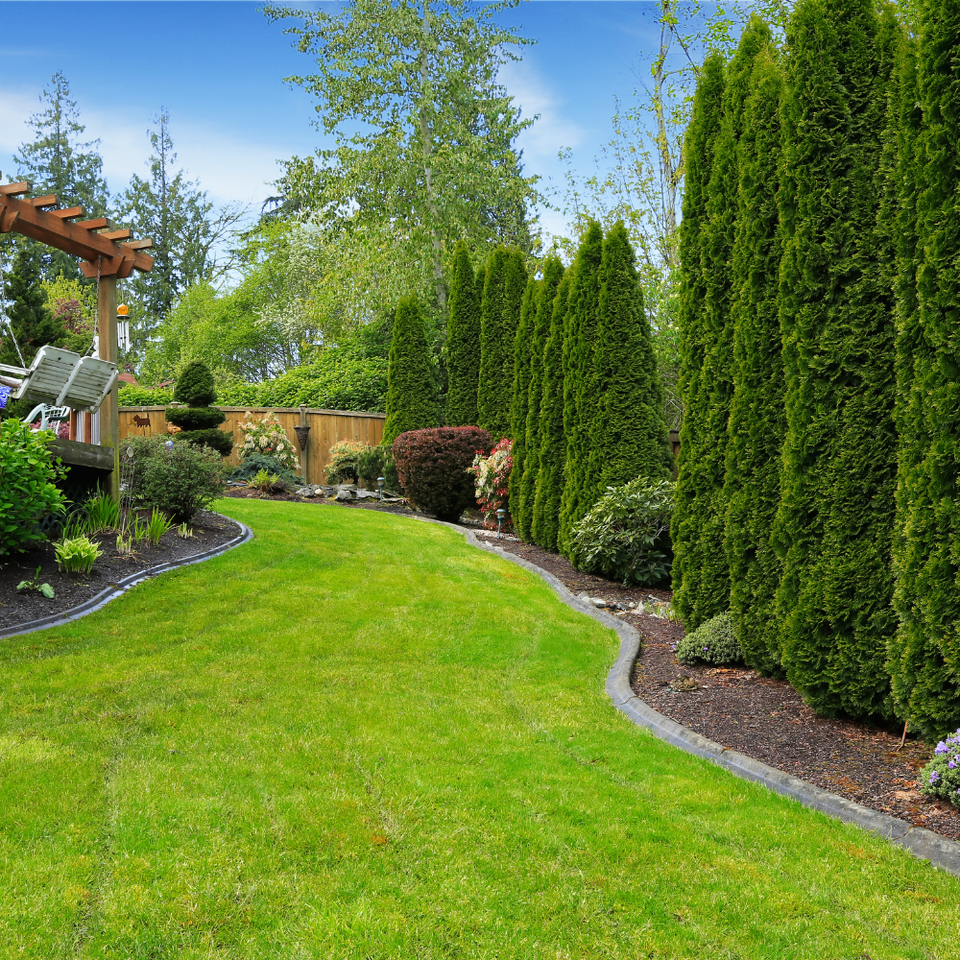 J gaspar landscaping (17)