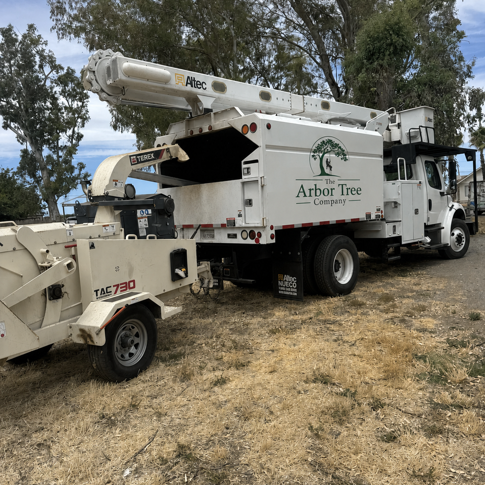 Aerial bucket truck services for high-up tree care by The Arbor Tree Service Company
