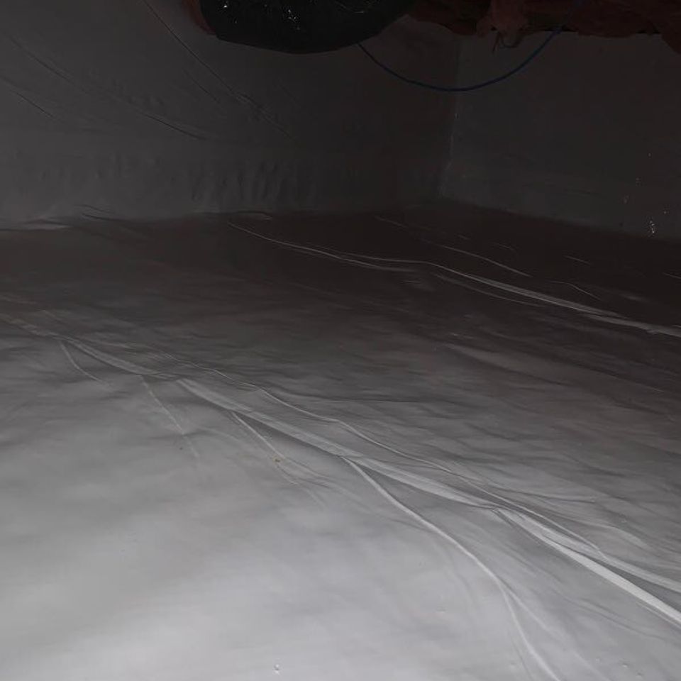 Img 56681