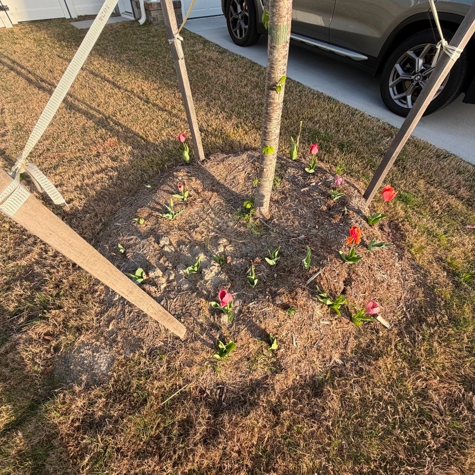 Weeding, done by Get A Mow On Lawn Care LLC of Chesapeake VA