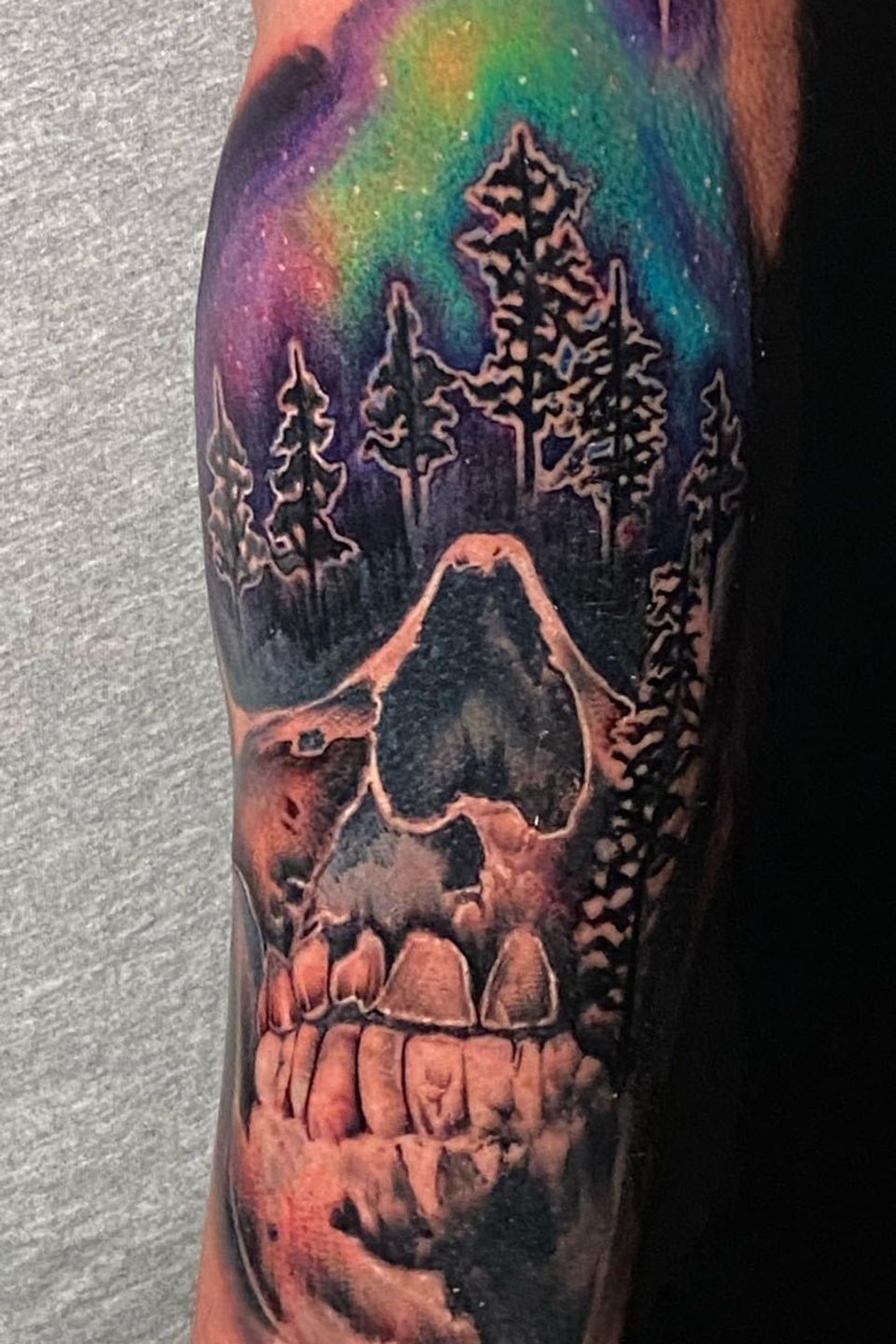 Josh aurora borealis mountain scene skull