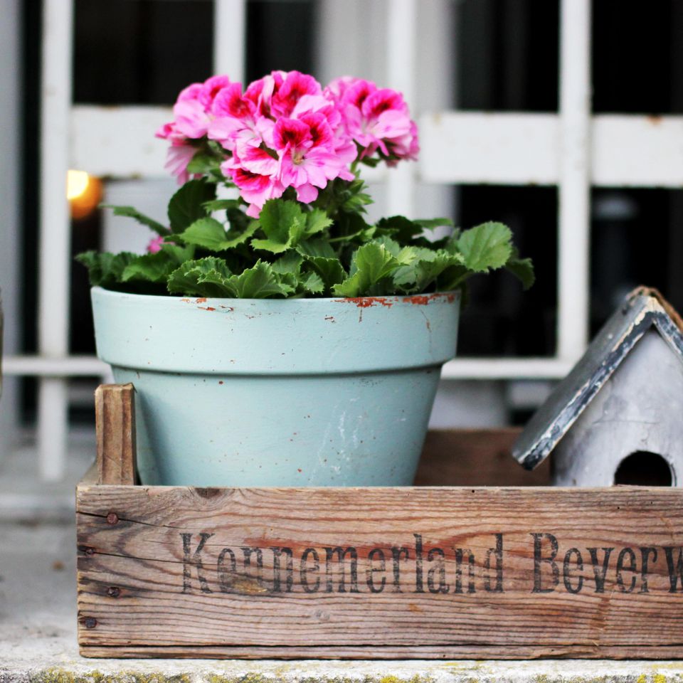 Micheile henderson xceuqqsfnns unsplash