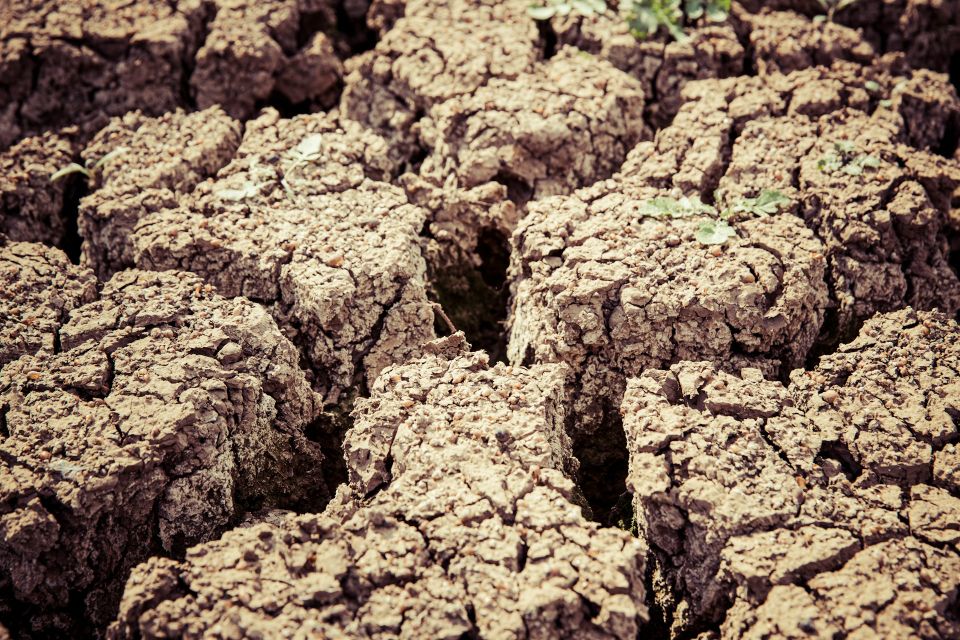 Markus spiske srwtnerppv0 unsplash