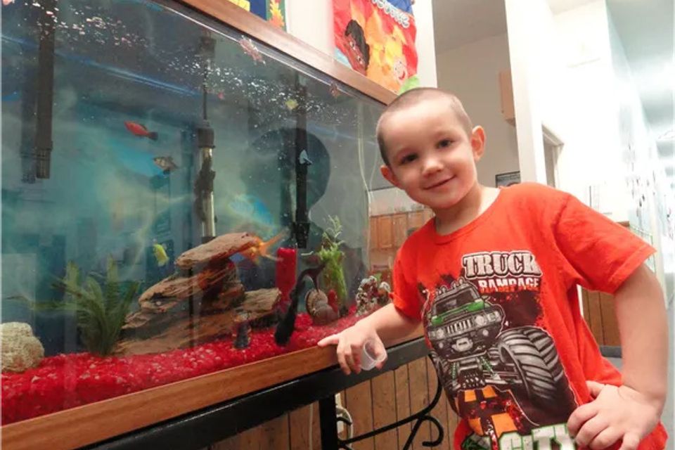 Ready set grow preschool (6) 600w