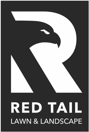 Red tail logo