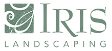 Bl iris1