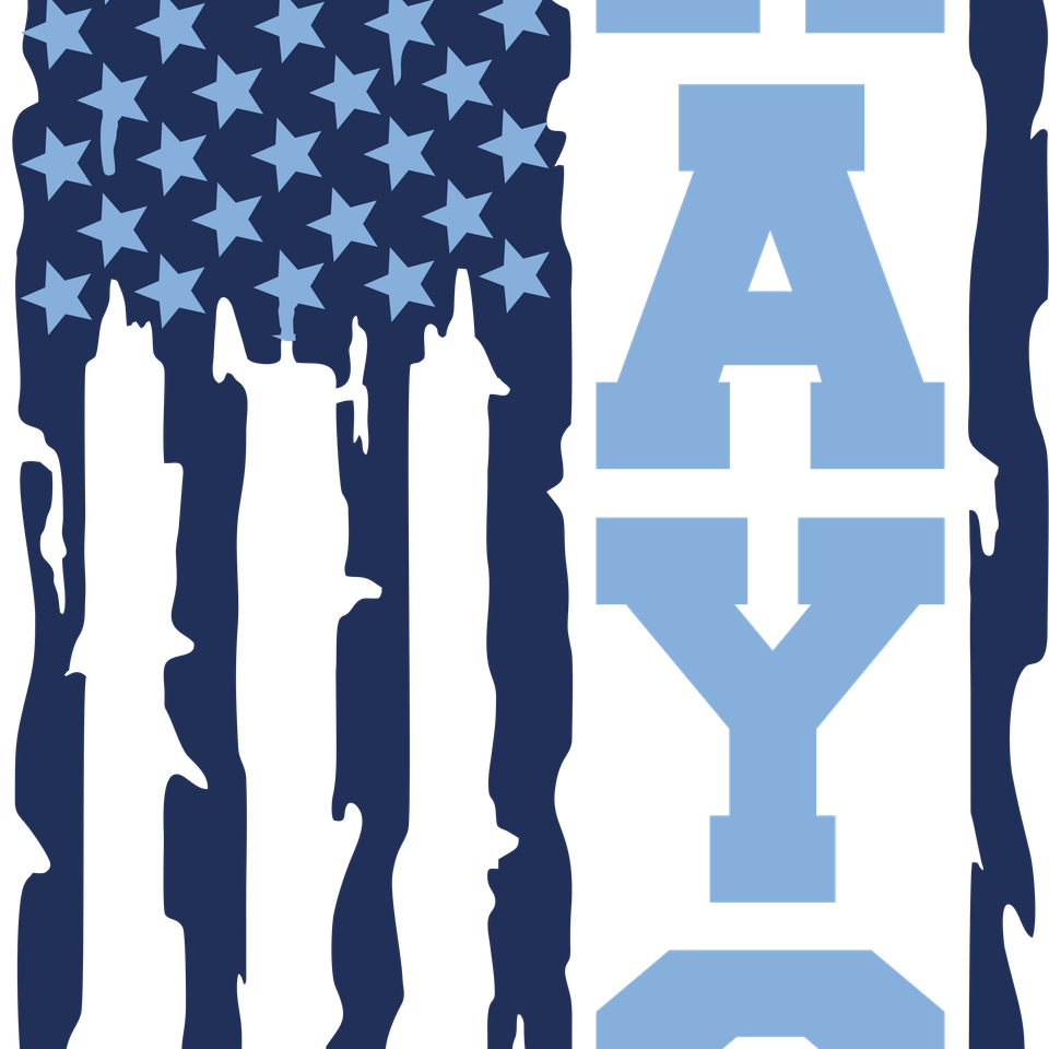 Sports   baseball rays flag 1