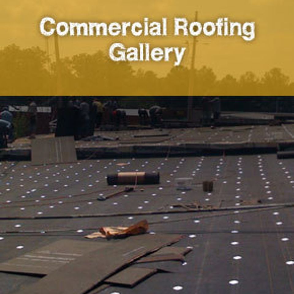 Commercial20151017 3409 rszt5n