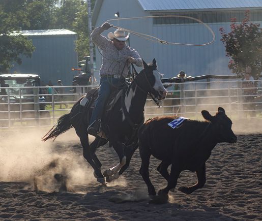 Web ranch rodeo rider