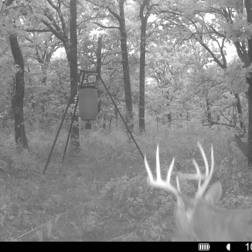 016579000796040 100 2 10282025080809 syfw01686