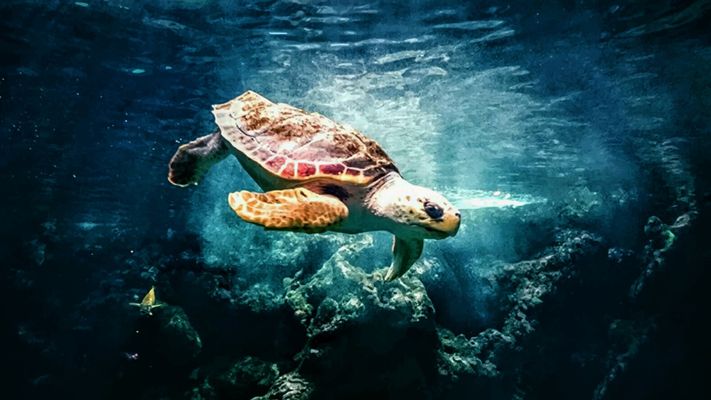 Ocean g0696007c7 1920
