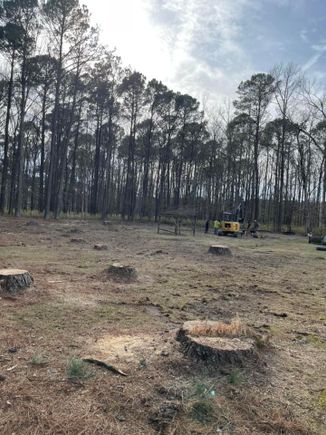 22 trees 6