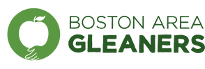 Bostonareagleaners