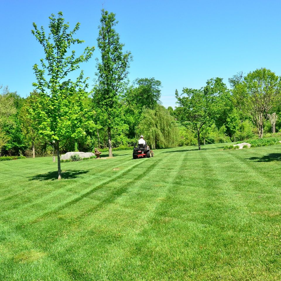 Lawn care g9e6ab0a7e 1920