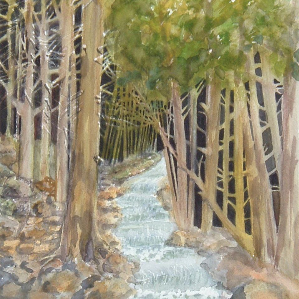Woodland creek lg