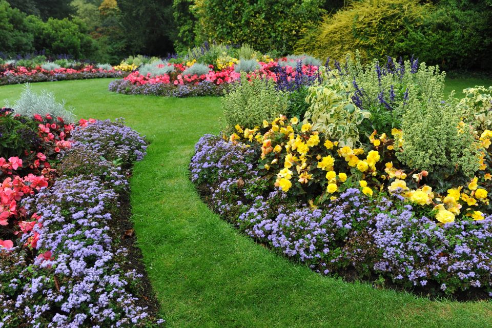 A beautiful backyard after landscaping service