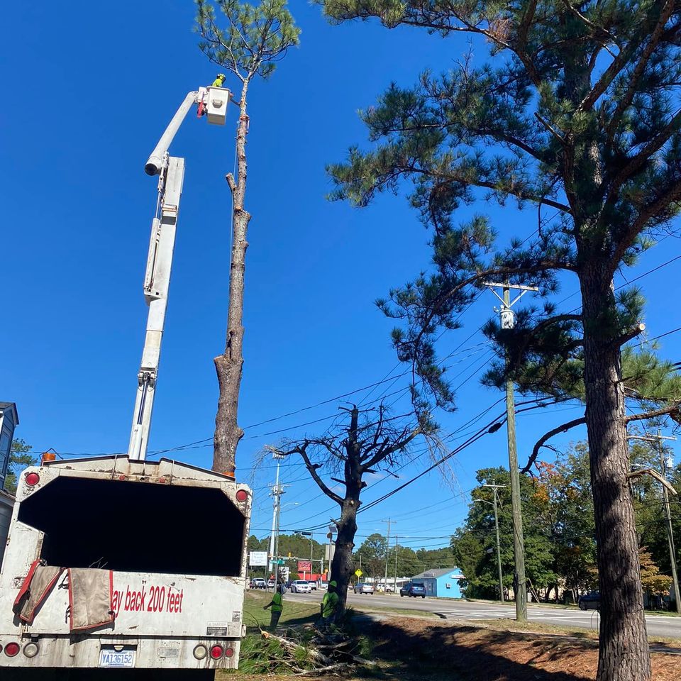 469334069 1491394701524002 646219979585115722 n