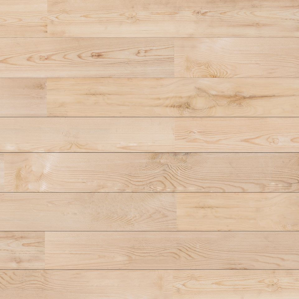Adobestock 194821587