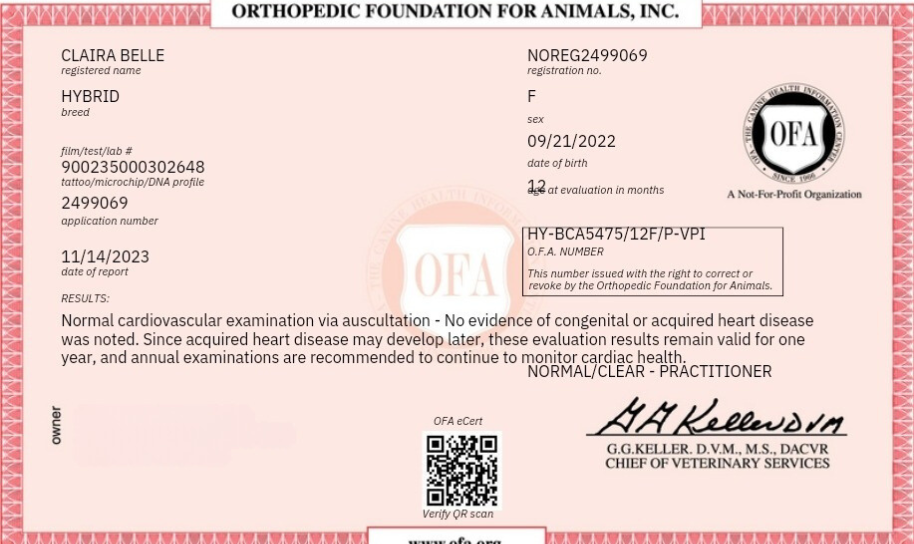 1000018468