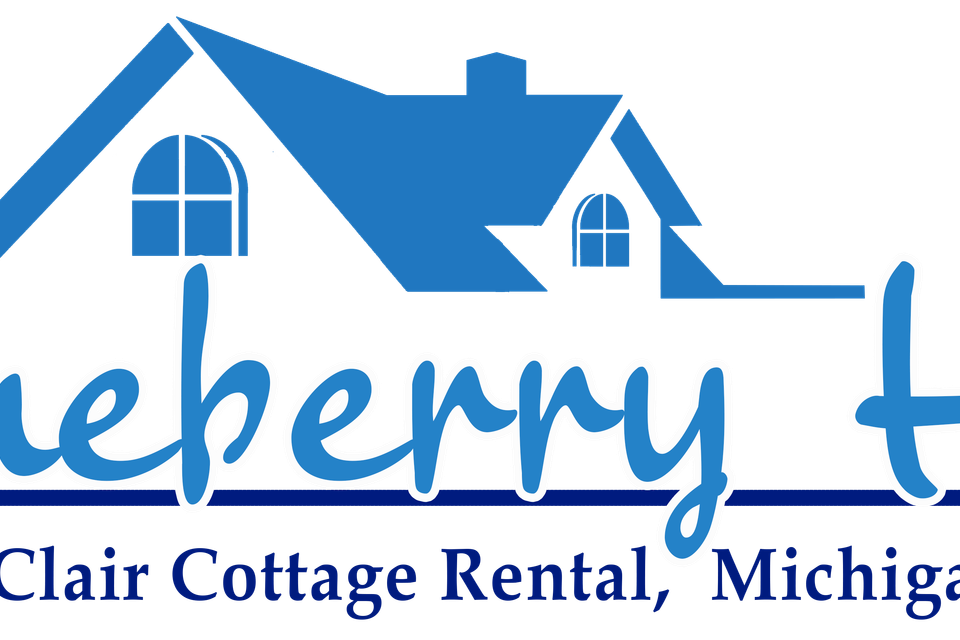 Blueberry hill logo