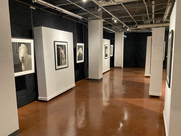 Horan exhibit photo 3