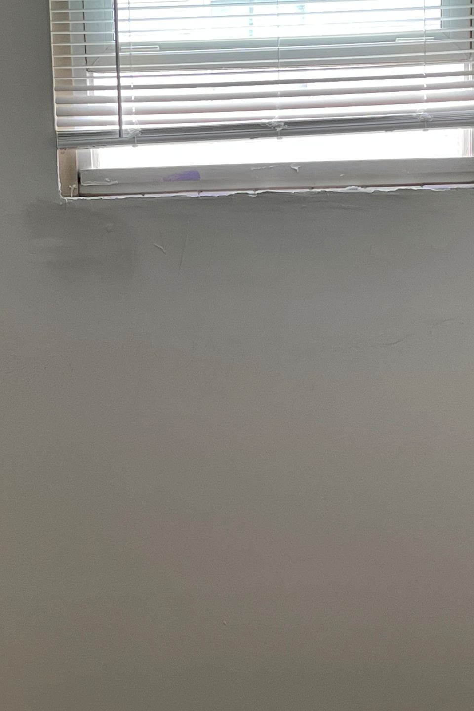 Img 1348