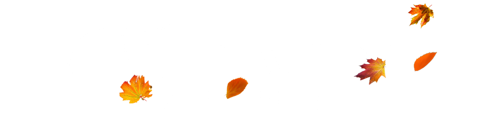 Blue moose coffee lodge   website (1)