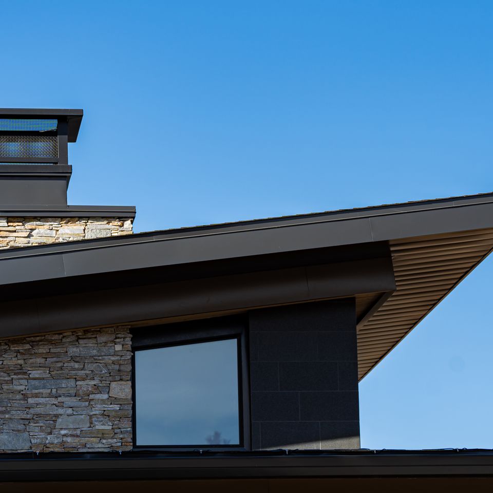 Fascia(1)