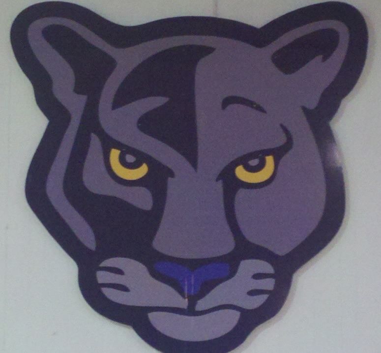 Panther pride